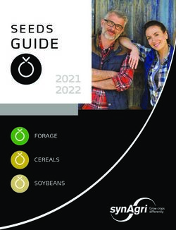 GUIDE - FORAGE CEREALS SOYBEANS - Synagri