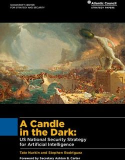 A Candle in the Dark: US National Security Strategy for Artificial Intelligence - Atlantic Council