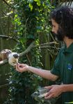 DURRELL ENDANGERED SPECIES MANAGEMENT GRADUATE CERTIFICATE - DESMAN 13 SEPTEMBER - 3 DECEMBER 2021, JERSEY