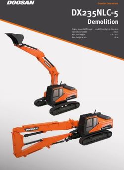 DX235NLC-5 Demolition - Crawler Excavators - Kraemer Baumaschinen
