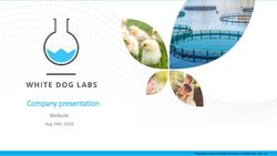 Company presentation Website - Aug 19th, 2019 - White Dog Labs