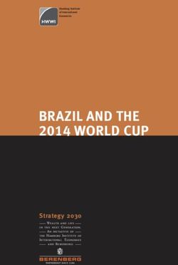 BRAZIL AND THE BA@C WORLD CUP - Strategy 2030