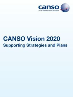 CANSO Vision 2020 Supporting Strategies and Plans