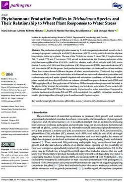 Phytohormone Production Profiles in Trichoderma Species and Their Relationship to Wheat Plant Responses to Water Stress