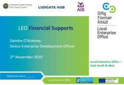 LEO Financial Supports - Deirdre O'Mahony Senior Enterprise Development Officer 3rd November 2020