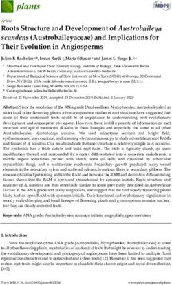 Roots Structure and Development of Austrobaileya scandens (Austrobaileyaceae) and Implications for Their Evolution in Angiosperms - MDPI