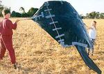 Guidelines for Reducing Cockatoo Damage - Wildlife Management Methods