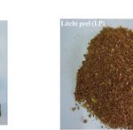 Biocomposites Developed with Litchi Peel Based on Epoxy Resin: Mechanical Properties and Flame Retardant - Hindawi.com