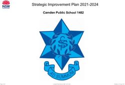 Strategic Improvement Plan 2021-2024 - Camden Public School 1482 - Amazon AWS