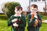 PROSPECTUS 2020-2021 Where learning is fun and ALL children succeed in our 21st century world - Hill West Primary School