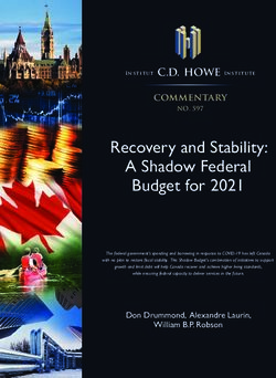 Recovery and Stability: A Shadow Federal Budget for 2021