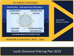 Louth Divisional Policing Plan 2019 - Garda.ie