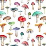 Mushroom Multiplication - MN Ag Mag
