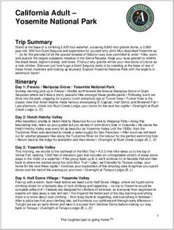 California Adult - Yosemite National Park - Austin Adventures