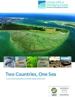 DEUX PAYS, UNE MER - LICCO LICCO