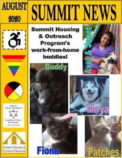 Summit Housing & Outreach Program's work-from-home buddies!