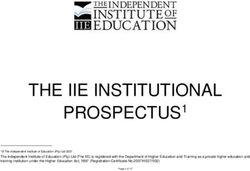 THE IIE INSTITUTIONAL - PROSPECTUSP