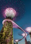 Singapore Blockchain Ecosystem 2019 - Driving towards a decentralized world: A glimpse into Singapore's vibrant and diverse blockchain landscape ...