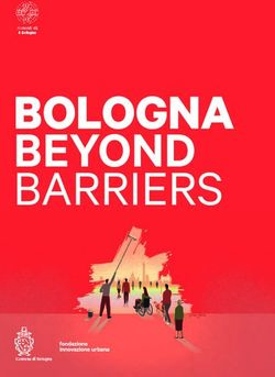 BOLOGNA BEYOND BARRIERS - Fondazione ...