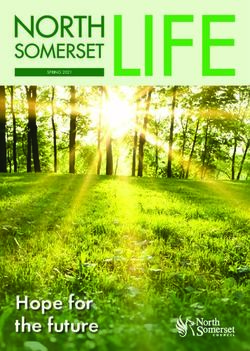 Hope for the future - North Somerset Council