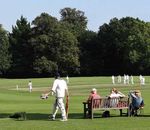 IMPACT REPORT SUSSEX CRICKET FOUNDATION 2020