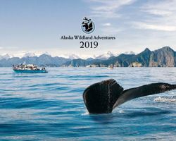 2019 alaska wildland adventures