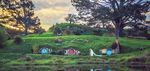 WEDDING INFORMATION 2018 2020 - Hobbiton Movie Set Tours
