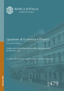 R 479 - Outline of a redistribution-free debt redemption fund for the euro area by Marika Cioffi, Pietro Rizza, Marzia Romanelli and Pietro ...