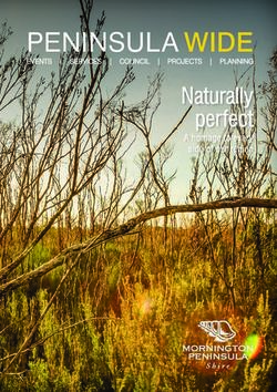 PENINSULA WIDE Naturally perfect - A homage to every side of our region - Mornington Peninsula Shire