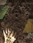 SEED CATALOG 2019 - Axis Ohio