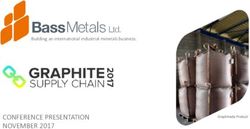 CONFERENCE PRESENTATION NOVEMBER 2017 - Building an international industrial minerals business - HotCopper