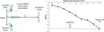 Acoustic Doppler velocity measurement system using capacitive micromachined ultrasound transducer array technology - Tufts