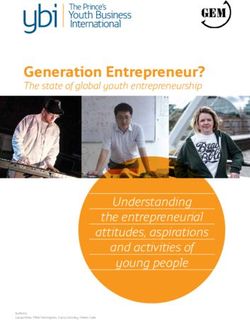 Generation Entrepreneur? - The state of global youth entrepreneurship - Understanding