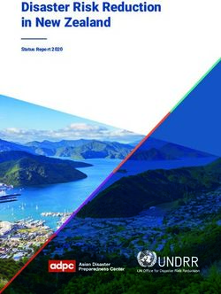 Disaster Risk Reduction in New Zealand - Status Report 2020