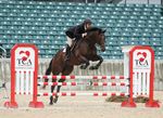 All-Thoroughbred Charity Horse Show