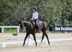 All-Thoroughbred Charity Horse Show