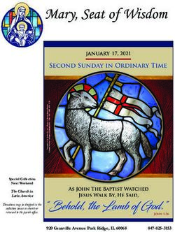 MARY, SEAT OF WISDOM - 920GRANVILLEAVENUEPARKRIDGE,IL60068 847-825-3153 SPECIAL COLLECTION NEXT WEEKEND - PARK RIDGE