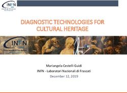 DIAGNOSTIC TECHNOLOGIES FOR CULTURAL HERITAGE - Mariangela Cestelli Guidi INFN - Laboratori Nazionali di Frascati December 12, 2019