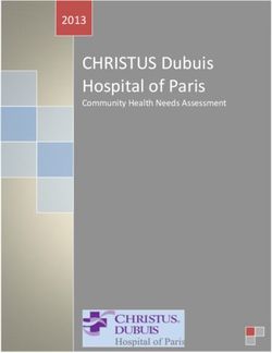 CHRISTUS Dubuis Hospital of Paris - Community Health Needs Assessment 2013