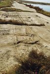 Risk Management and Corrective Action Related to a Leaking Brine Pond - Frans Hettinga & Aziz Shaikh