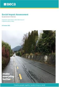 Social Impact Assessment - Queenstown Arterials - Social Assessment Report