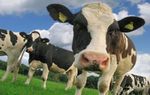 Farm Carbon Navigator - User Manual