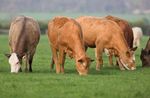 Farm Carbon Navigator - User Manual