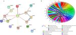 Meta analysis of gene signatures and key pathways indicates suppression of JNK pathway as a regulator of chemo resistance in AML