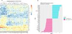 Meta analysis of gene signatures and key pathways indicates suppression of JNK pathway as a regulator of chemo resistance in AML
