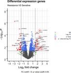 Meta analysis of gene signatures and key pathways indicates suppression of JNK pathway as a regulator of chemo resistance in AML