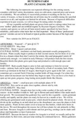 HUTCHINS FARM PLANT CATALOG 2019