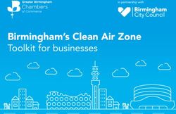 Birmingham's Clean Air Zone - Toolkit for businesses in partnership with - Brum Breathes