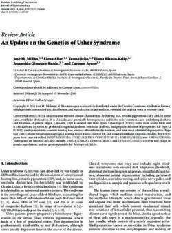 Review Article An Update on the Genetics of Usher Syndrome