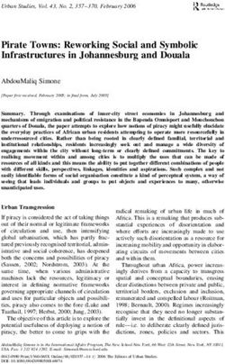 Pirate Towns: Reworking Social and Symbolic Infrastructures in Johannesburg and Douala